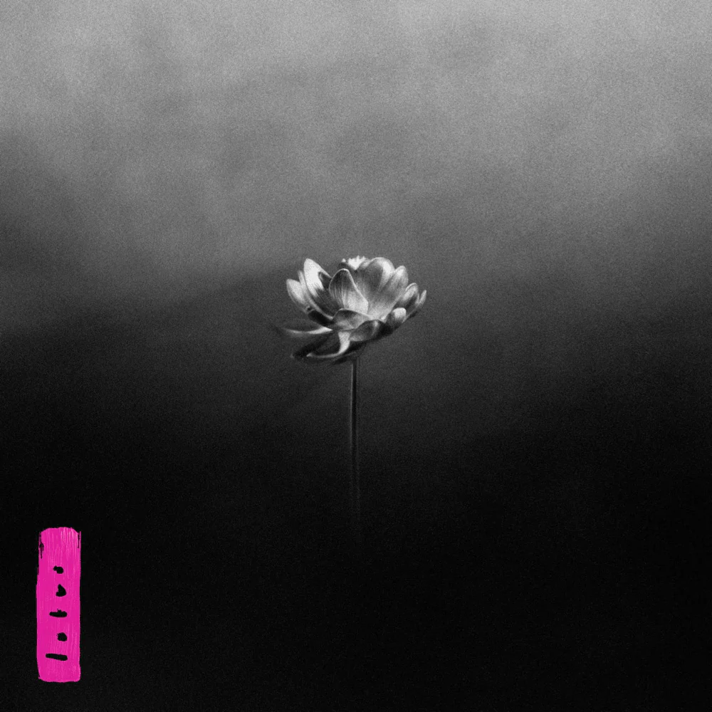 Lotus (2LP 180g Black Vinyl)
