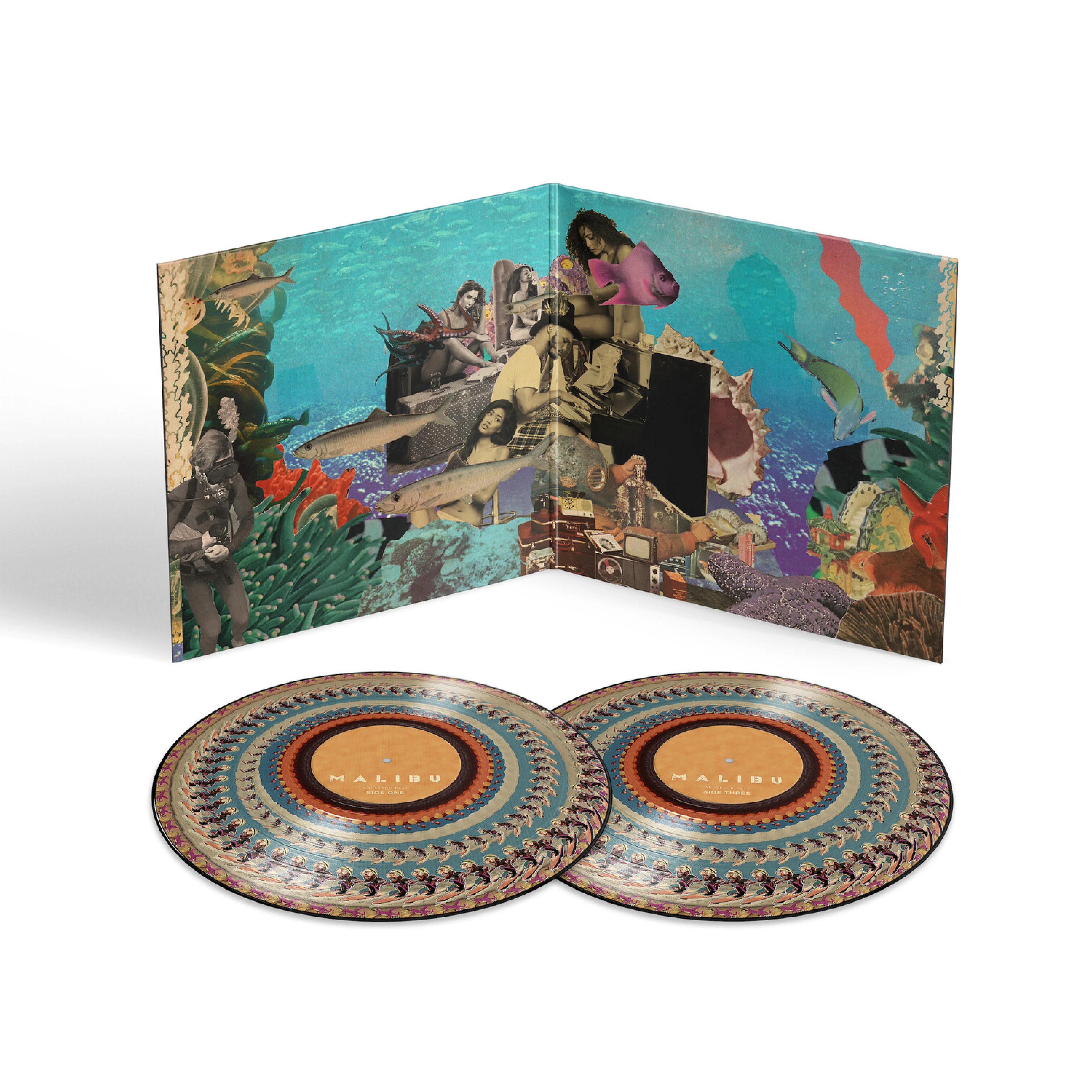 Malibu (10 Year Anniversary) (Zoetrope Picture Disc) - Image 2