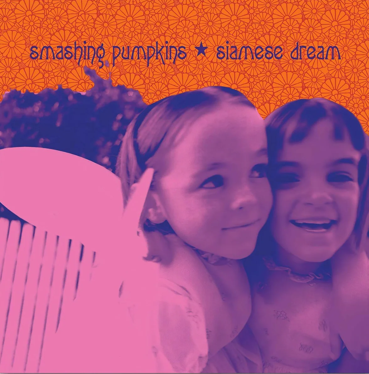 Siamese Dream 2LP
